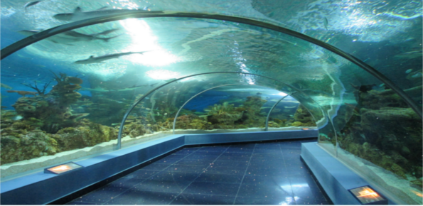 Fakieh Aquarium